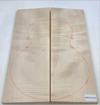 Back & Sides Sycamore / Europ. Maple, Archtop Unique Piece #016